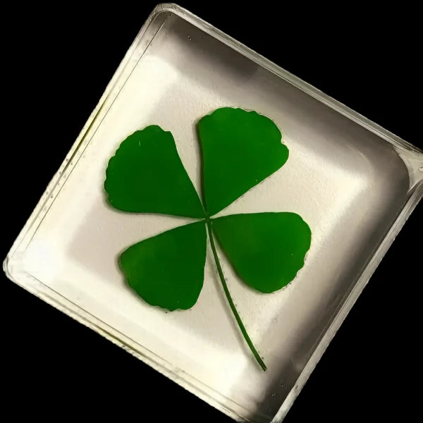 4 Leaf Clover in Resin